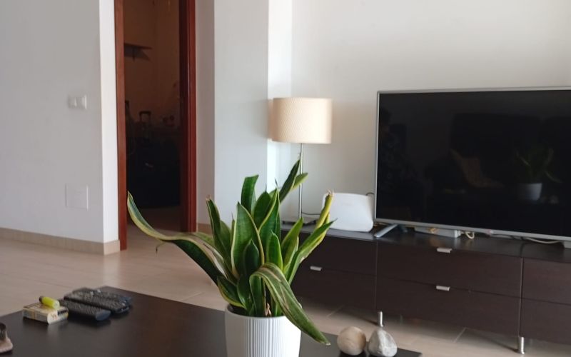 PAREADO DE 3 HABITACIONES CON SOLARIUM EN EL CENTRO DE SAN JOSÉ PUEBLO